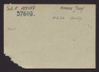 A 12976_Mj - Ms_9305