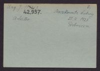 A 12976_Mj - Ms_9271