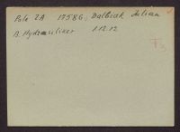 A 12976 D 2041