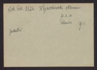 A 12976_Wj - Wz_ 13790