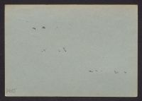 A 12976_L_7415r