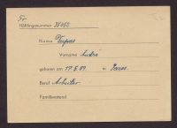 A 12976 D 2584