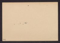 A 12976 B 0449r