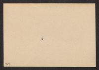 A 12976 B 0599r
