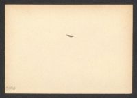 A 12976_J_5190r