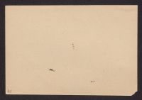 A 12976 A 00041r