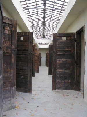 Solitary cells in the Fourth yard